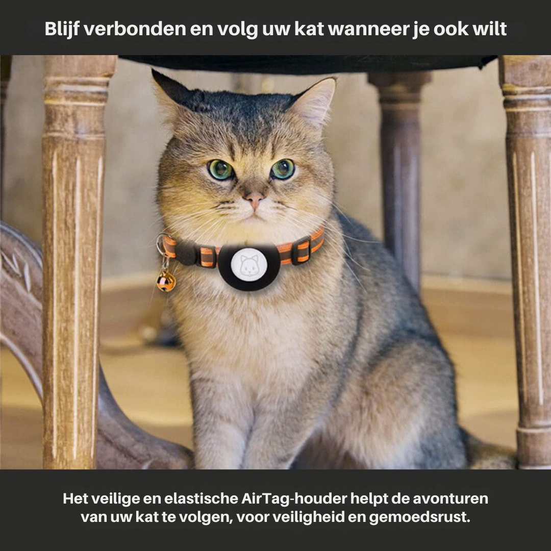 Katte GPS-halsbånd med reflekterende design 2