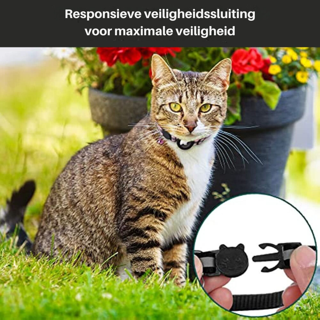 Katte GPS-halsbånd med reflekterende design 4